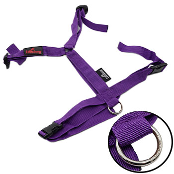 Y Harness - Purple