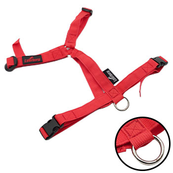 Y Harness - RED