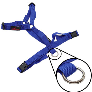 Y Harness - Blue