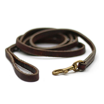 Leerburg's 6ft Brown Leather 3/8" Puppy Leash - Brass