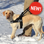 Guide Dog Harness with Handle