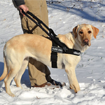 Guide Dog Harness