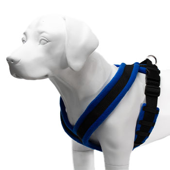 Eezwalker Dog Harness