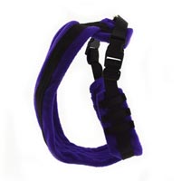 Close Out Purple Eezwalker Harness