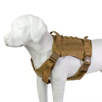 Leerburg's Light Duty Tactical Harness