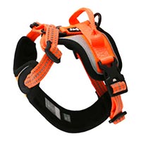 Close Out Select Hurtta Active Dazzle Harness