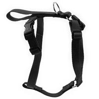 Flyball Harness