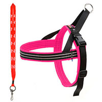 Close Out Comfort Flex Sport Harness with Lanyard - 37.5-42 inch