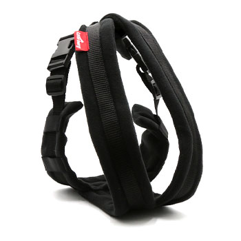EasyWalk Padded Harness 