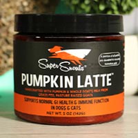 Super Snout Pumpkin Latte 