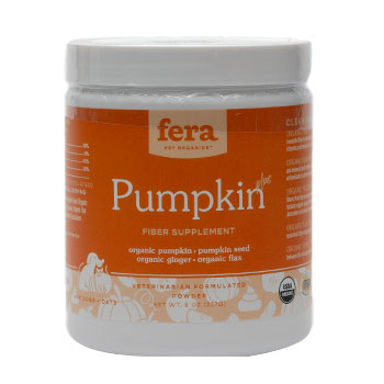 Image of Fera Pumpkin Plus Gut Support