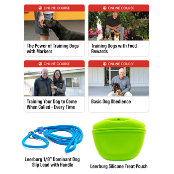 Getting Started with Reward Based Training Bundle