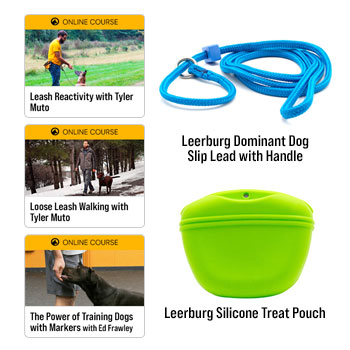 Image of Leash Skills Bundle 