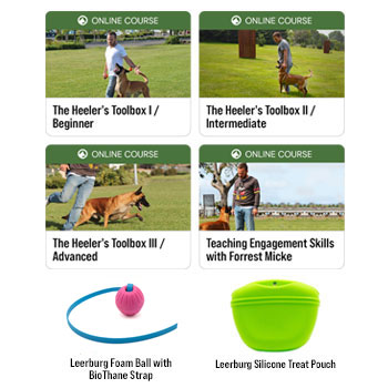 Image of Heeler's Toolbox Bundle 