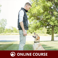 An Introduction to Dog Training (LOU)