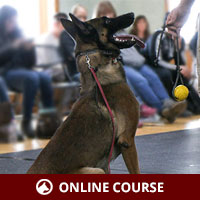 Engagement Micro Course with Michael Ellis