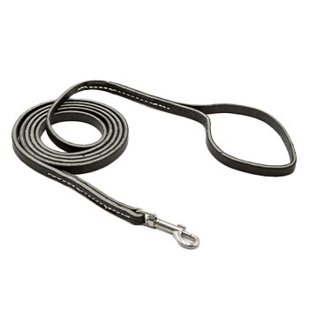 3/8" Puppy Leash  -  4ft or 6ft 