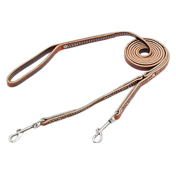 Image of 1/2" Prong Collar Leash - 6ft