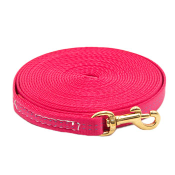 Small Dog 20ft x 5/8in Nylon Drag Line with Brass Snaps 