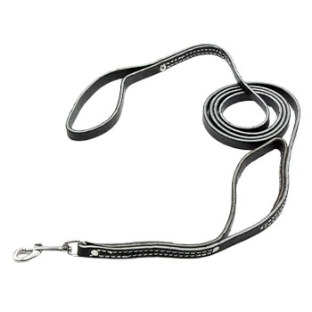 Image of 1/2" Two Handle Leather Leash - 6ft