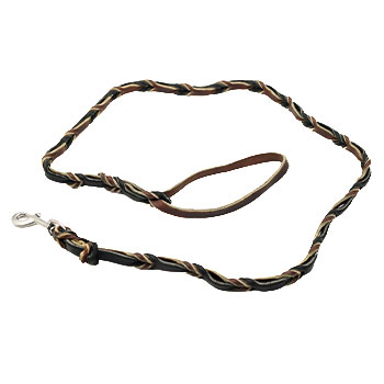1/2" Leather Braided Leash