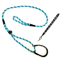 Close Out Martingale Lead with Black Lanyard