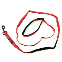 HALTI All In One Lead with Handle and Leerburg Lanyard
