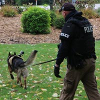 Training Police K9 Tracking Dogs Seminar with Kevin Sheldahl