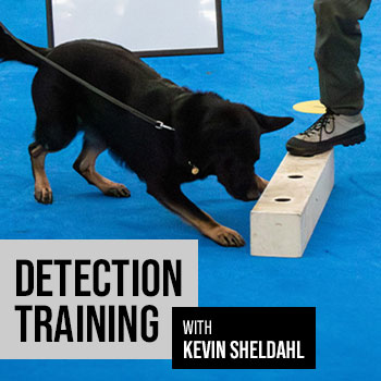 Detection Training with Kevin Sheldahl - November