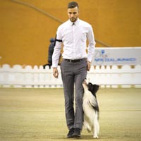 Competition Obedience Seminar with Alex Robinson