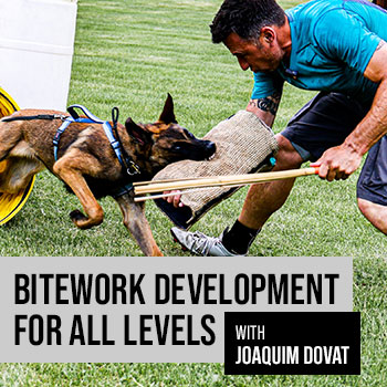 Bitework Development for All Levels with Joaquim Dovat Seminar
