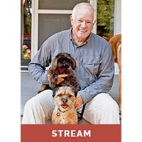 Basic Dog Obedience - Stream