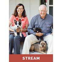 Managing Dogs In The Home  - Streaming