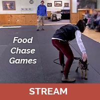 Food Chase Games with Michael Ellis (streaming)