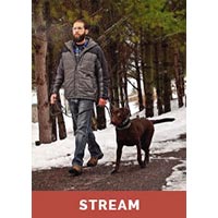 Loose Leash Walking with Tyler Muto - Streaming