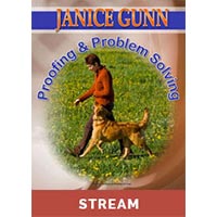 Proofing and Problem Solving with Janice Gunn