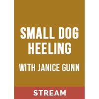 Small Dog Heeling with Janice Gunn