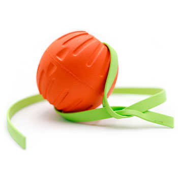 Leerburg Foam Ball with BioThane Strap