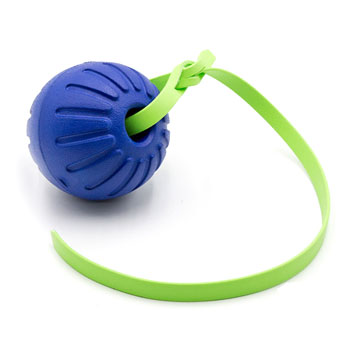 Leerburg Large Foam Ball with BioThane Strap