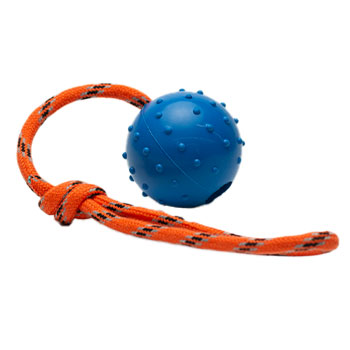 Image of Leerburg's Rubber Ball with Nylon Handle