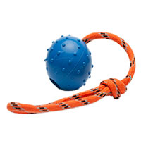 Leerburg's Rubber Ball with Nylon Handle