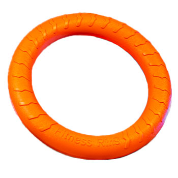 Leerburg's Foam Fitness Ring