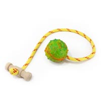 Roni Ball with Wooden T Handle