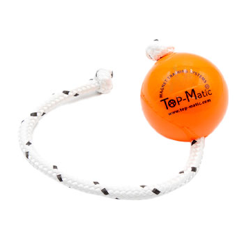 Magnetic dog ball best sale