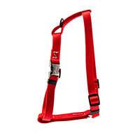 RED Leerburg Adjustable Harness