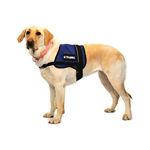 Mesh Service Dog Vest - Large/Orange