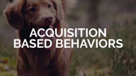 Acquisition Based Behaviors