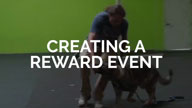 Creating a Reward Event