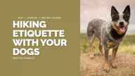 Self-Study Online Course - Hiking Etiquette With Your Dogs