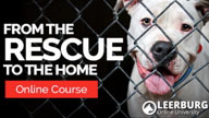 New Online Course - From the Rescue to the Home